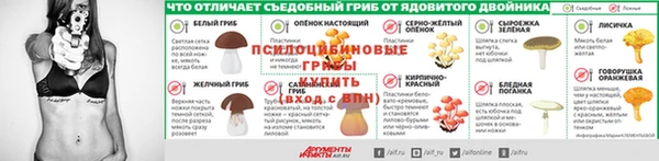ECSTASY Алзамай