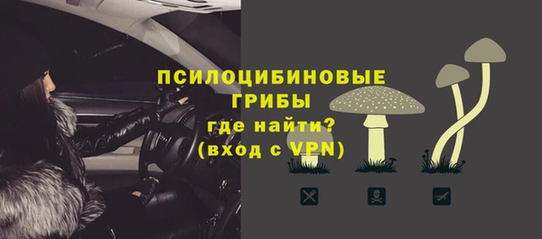 дживик Алексин