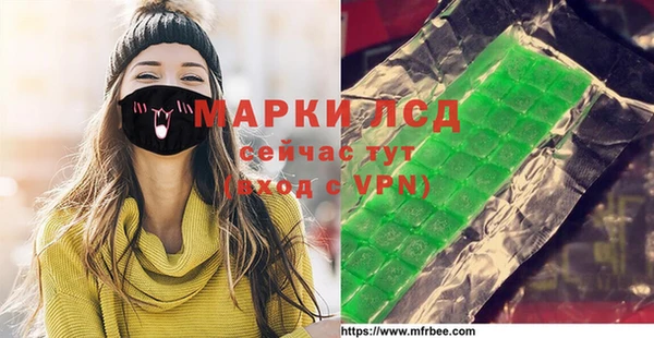 ECSTASY Алзамай