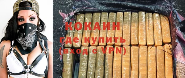 дживик Алексин