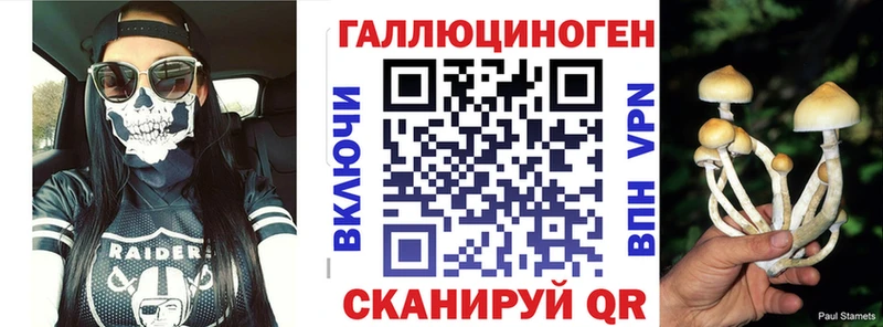 Псилоцибиновые грибы прущие грибы  Тихвин 