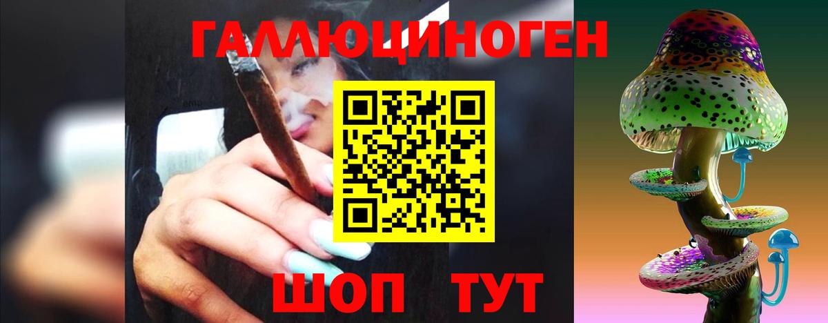 Тихвин  Псилоцибиновые грибы Psilocybe  Вход с VPN 